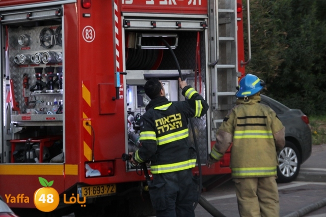 fireonroof324 (3).JPG